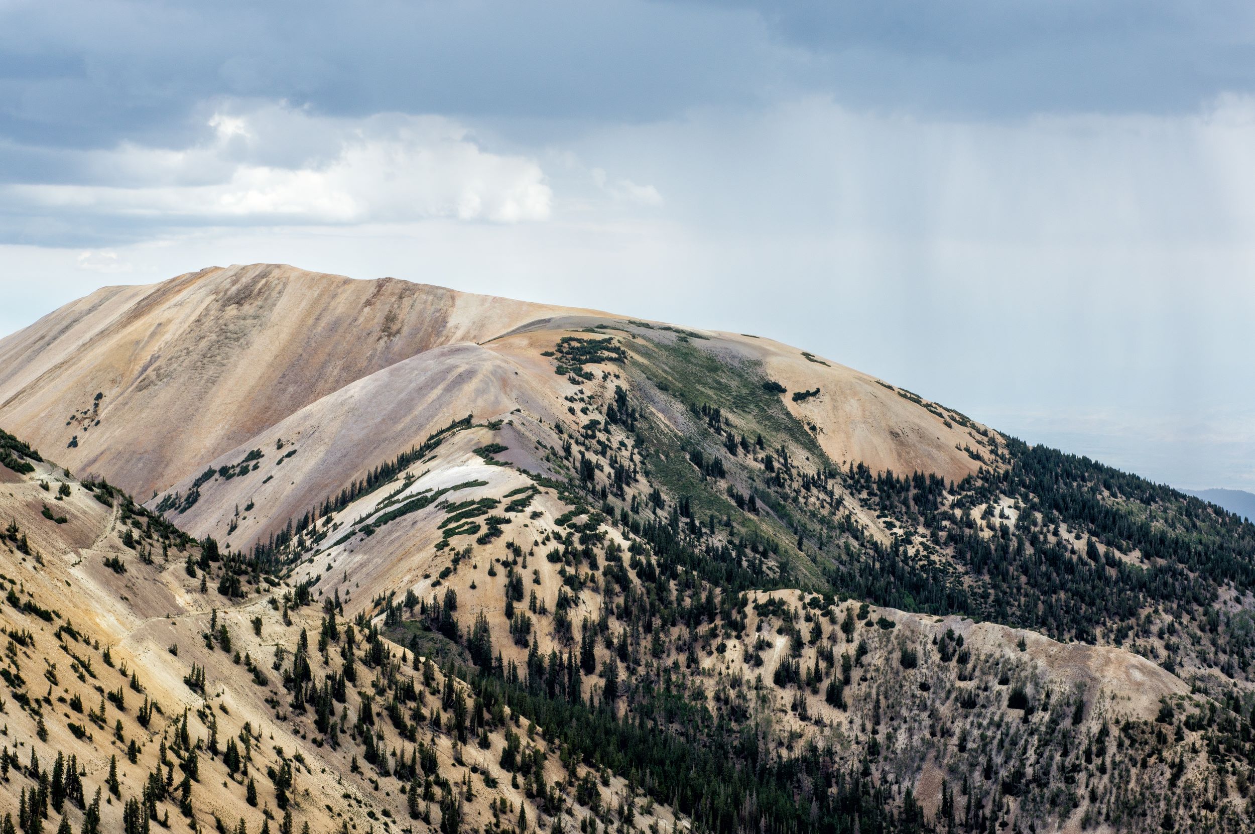 The Tushar Mountains.